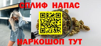 СК Кингисепп