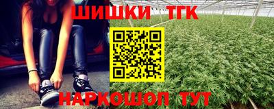 прущие крисы Кандалакша