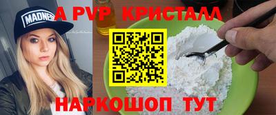 СК Кингисепп