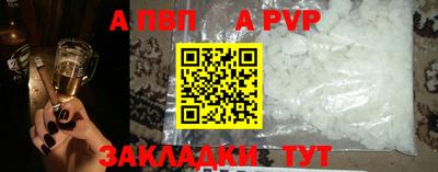 СК Кингисепп
