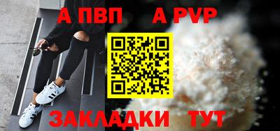 СК Кингисепп