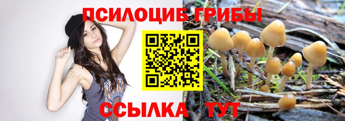 Галлюциногенные грибы мухоморы Кинель